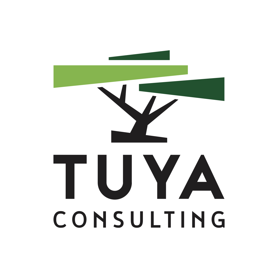 TUYA CONSULTING