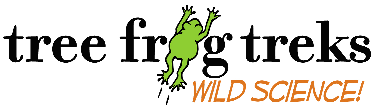 Tree Frog Treks