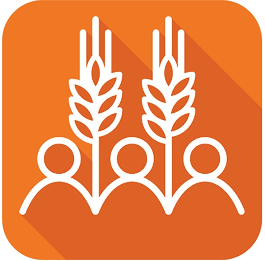 Borlaug Training Foundation