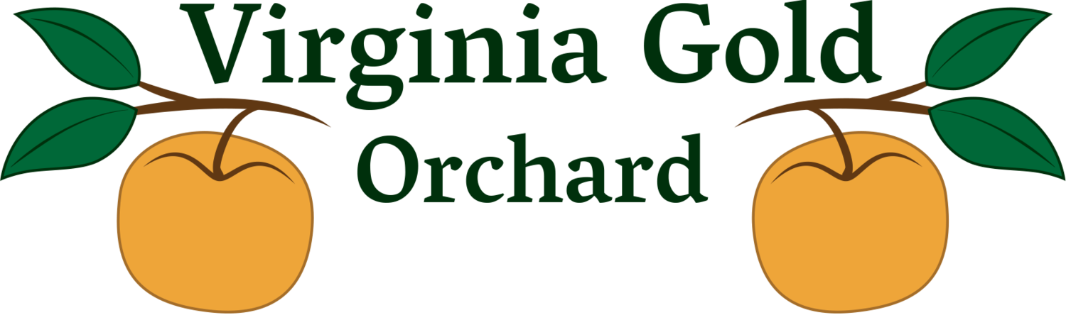 Virginia Gold Orchard