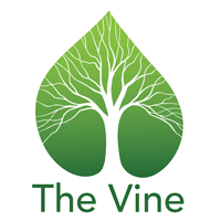 Vine Bible Study