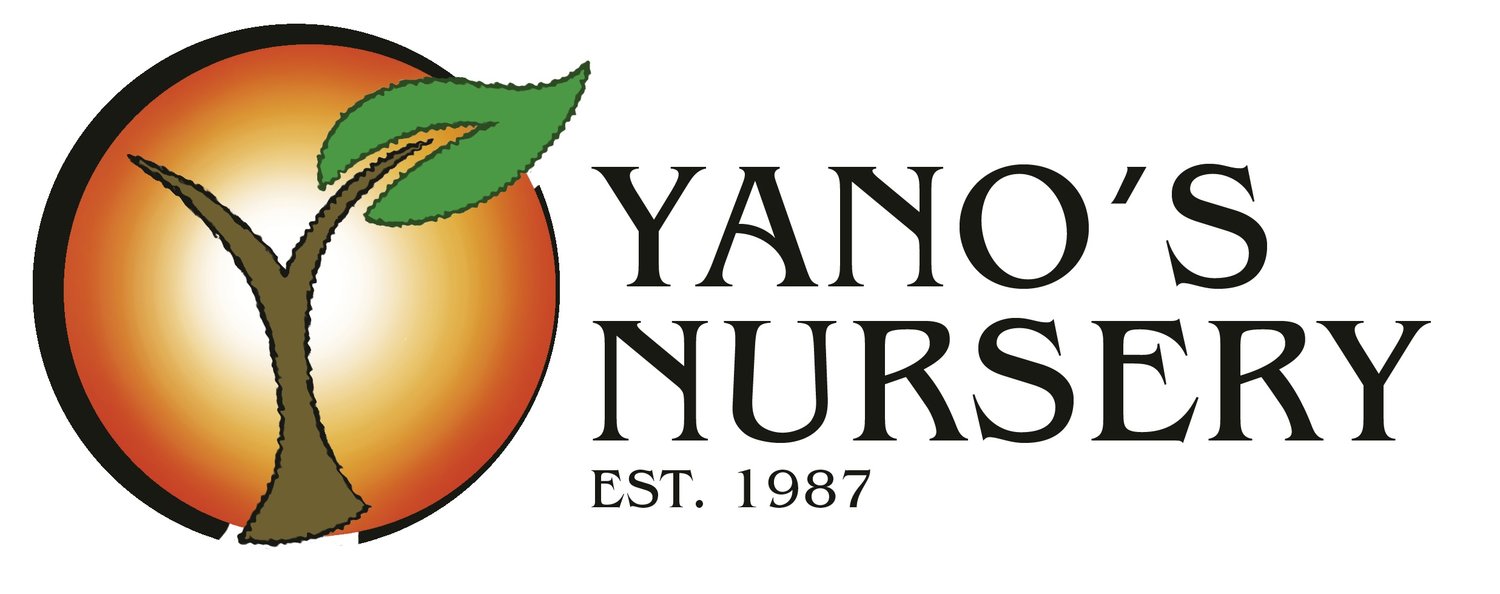 Yano's Nursery