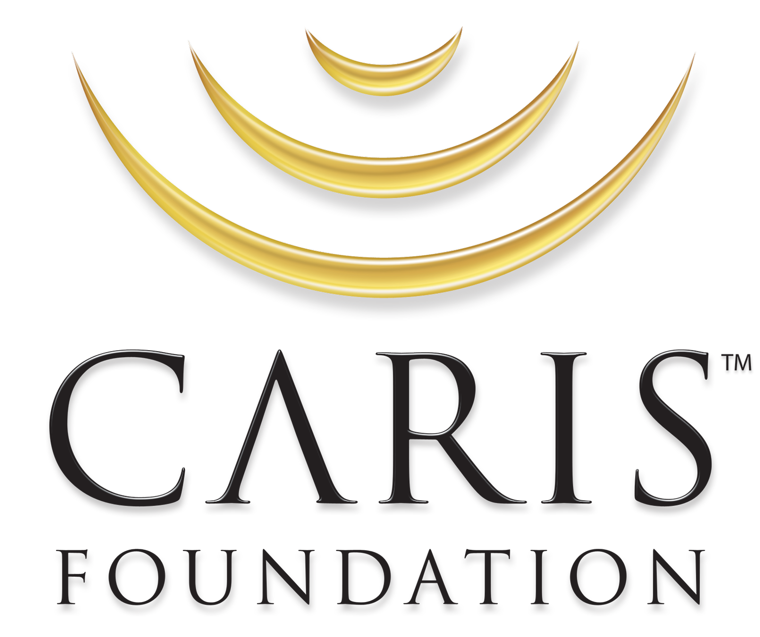 Caris Foundation