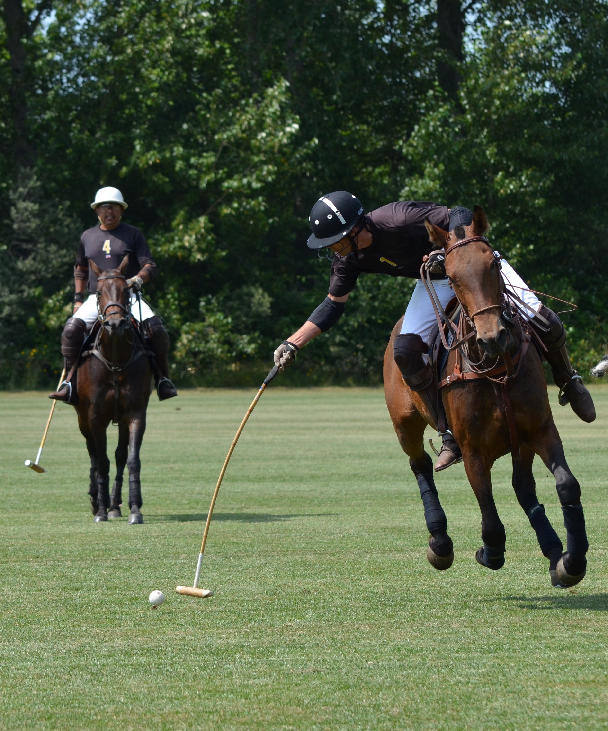 play polo