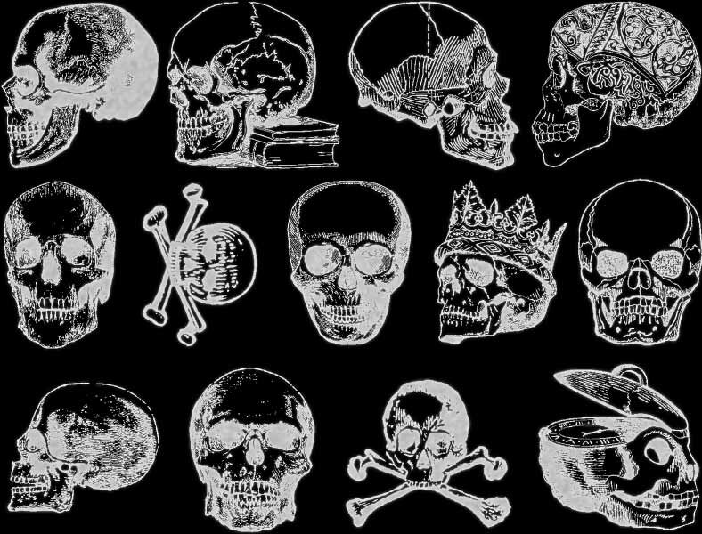 the skulls