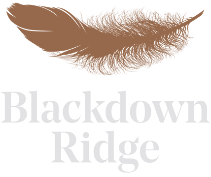 Blackdown Ridge