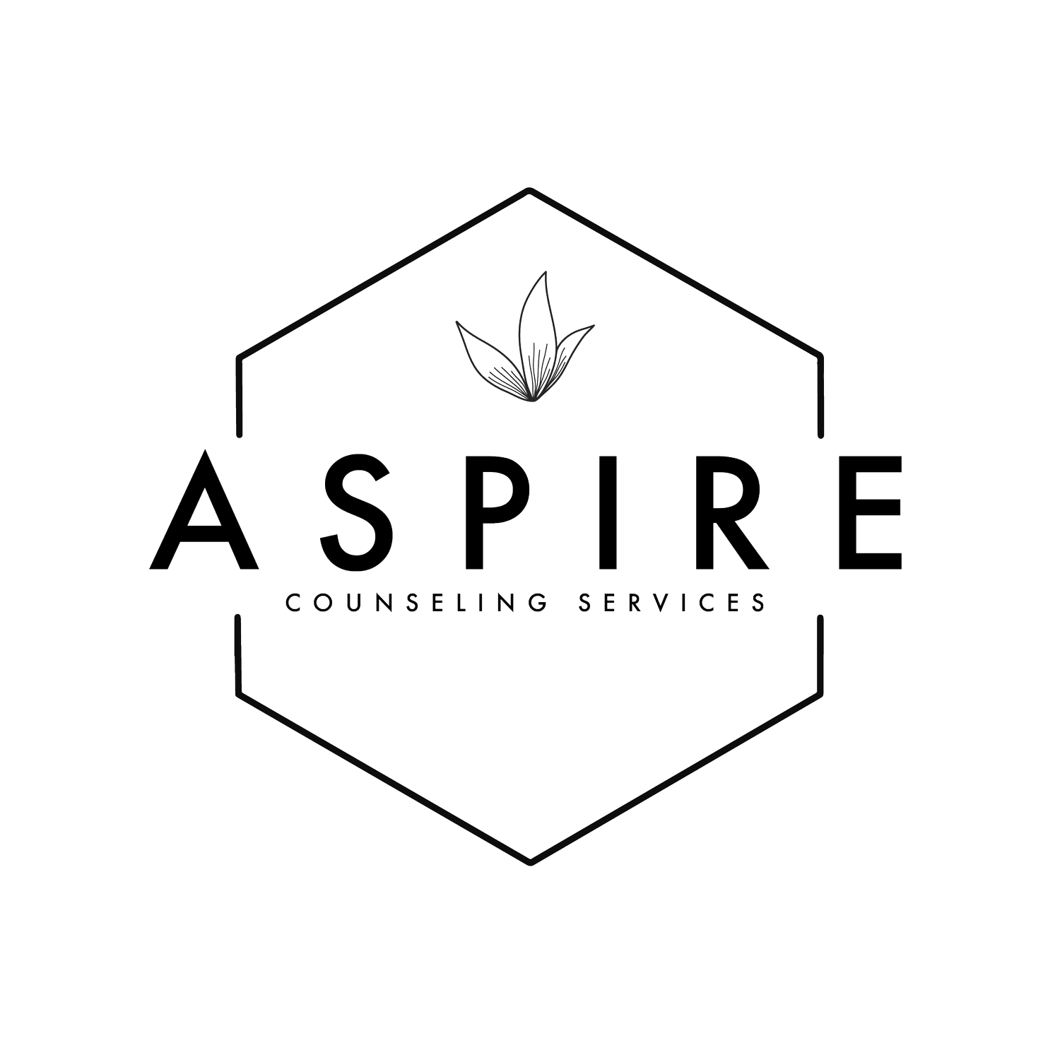 About Aspire Aspire Counseling Services