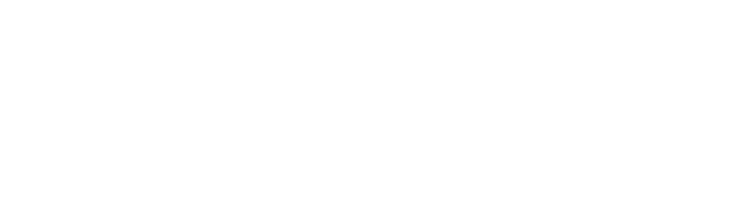 Allegro Business Intelligence