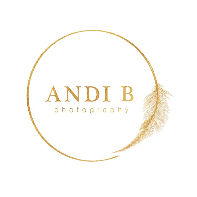 Andi B Photography