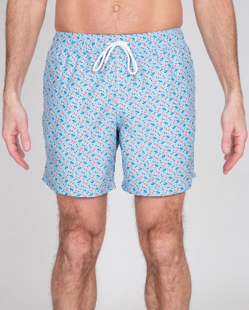 novelty swim shorts