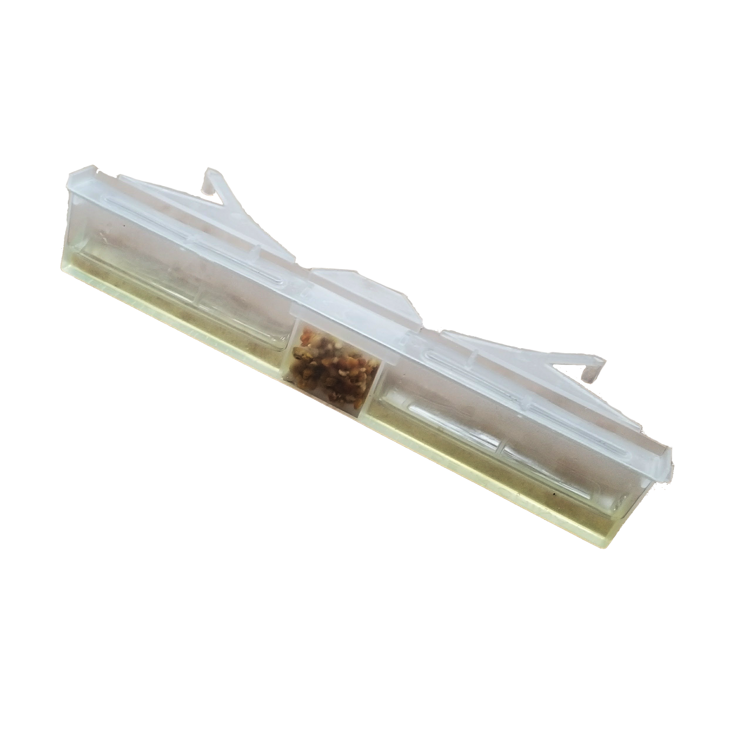 Clear Small Hive Beetle Trap with Baitable and Oil Foxhound Bee Company 6 Pack