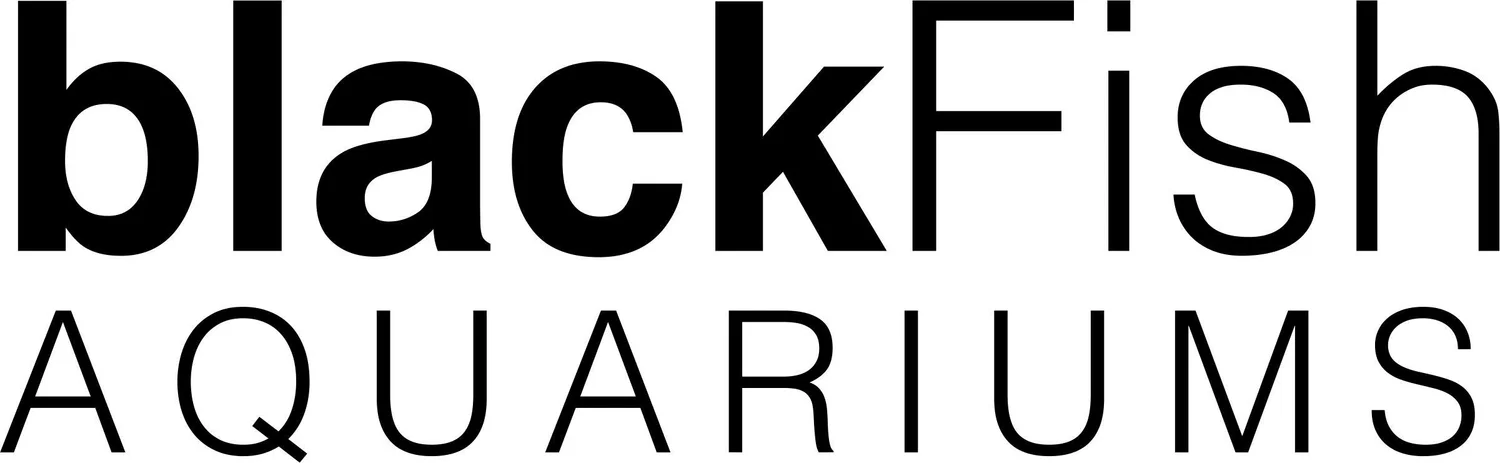 BlackFish Aquariums