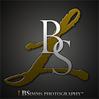 LBSimms Photography