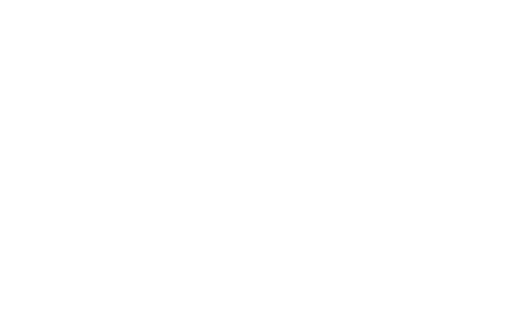 Molly Pfister, LPC, MAC