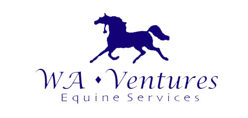 WA Ventures Equine Services