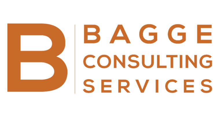 Bagge Consulting Services