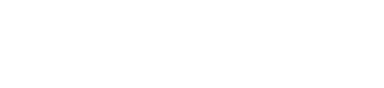 CULINARY ACCOUNTANTS INC