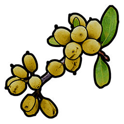yellow.berry.png