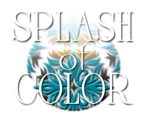 Splash of Color Hair Studio