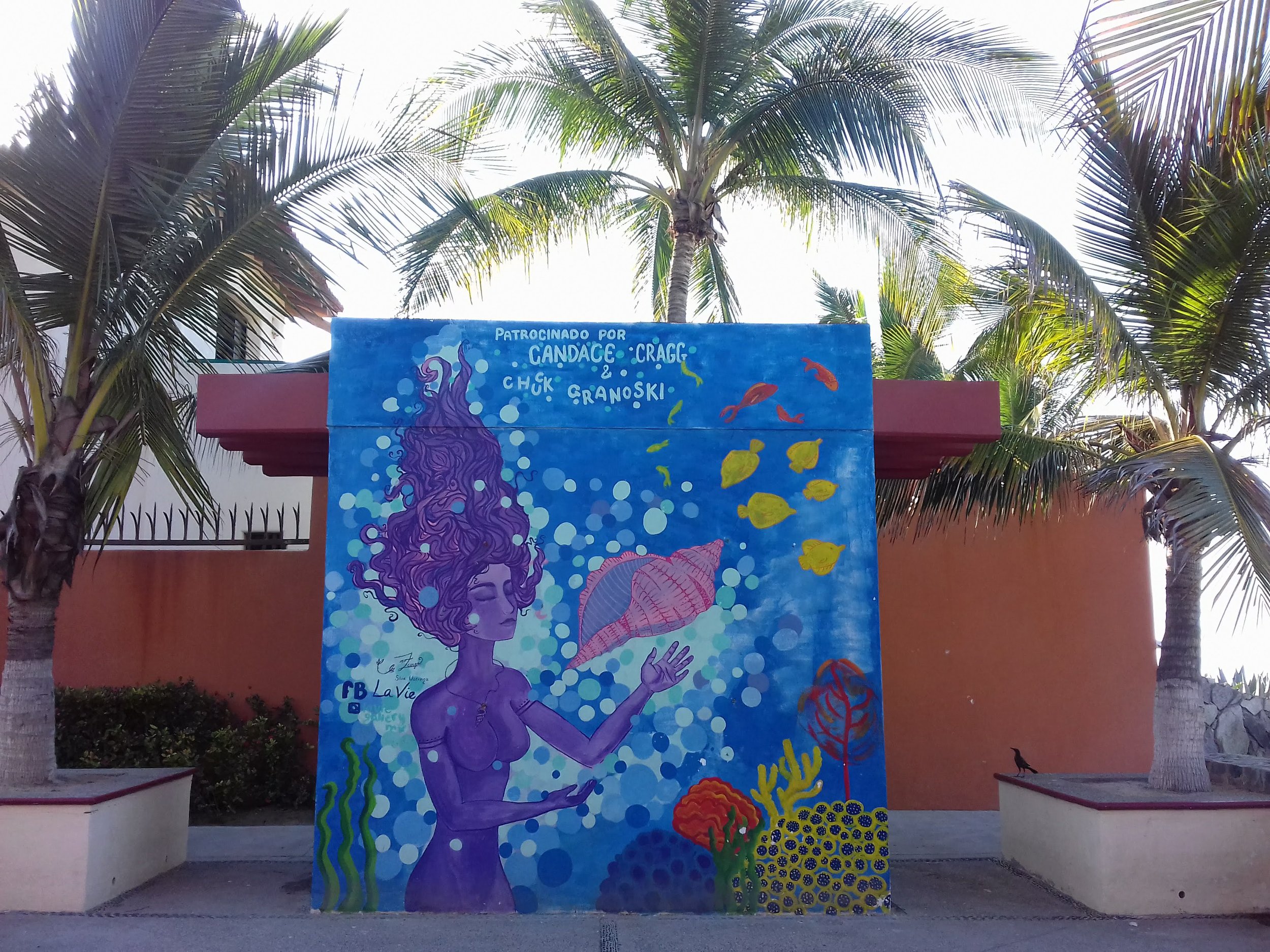 bucerias-art-work-beach-mexico.jpg