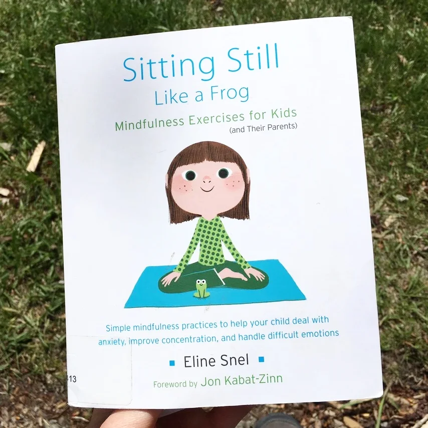 Sitting Still Like A Frog By Eline Snel Just Goods