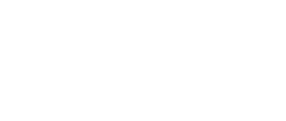 Bunduka Consulting