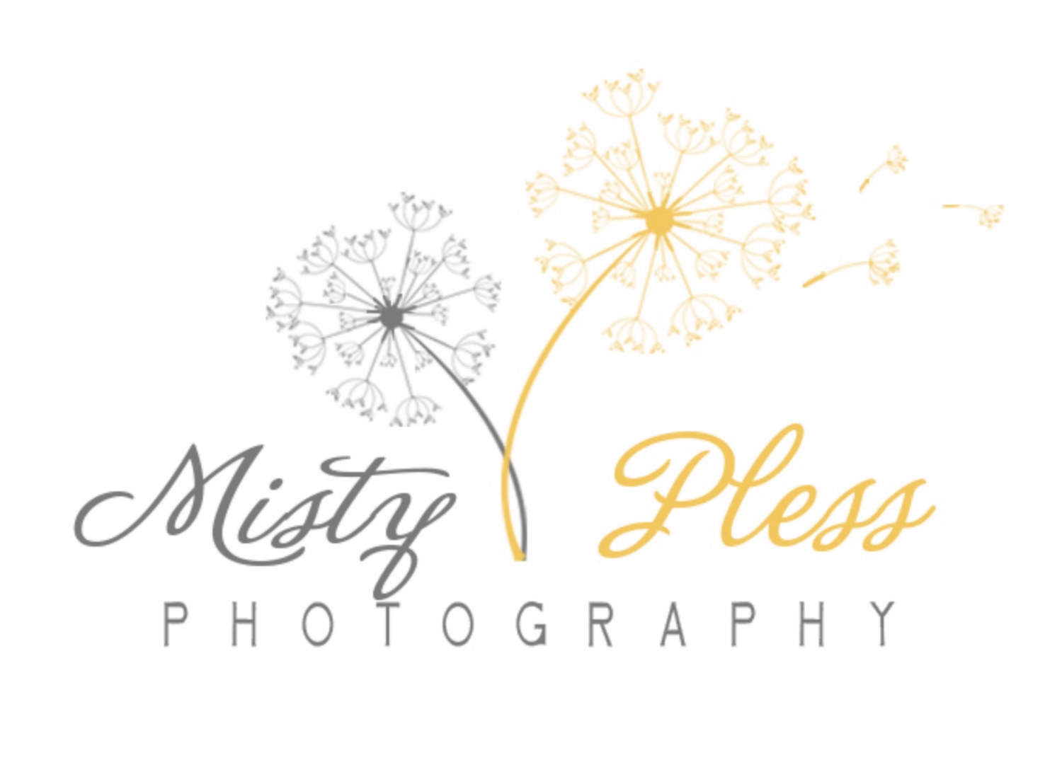 Misty Pless Photography