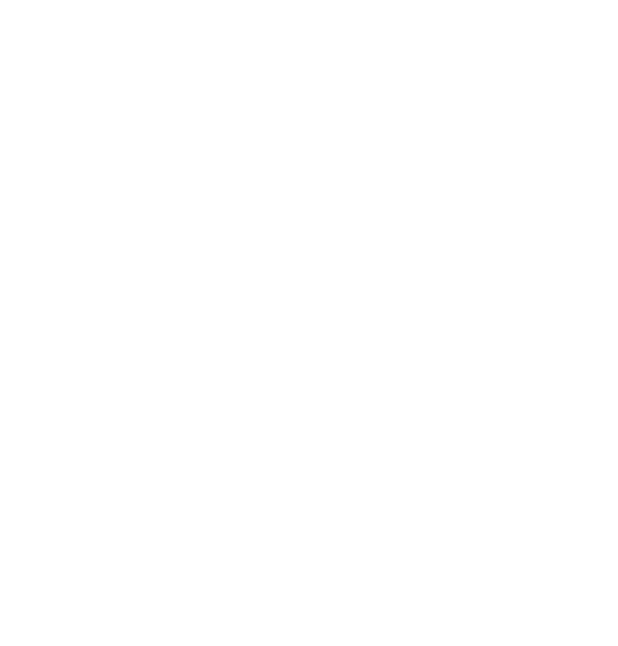 Gappa Security Solutions