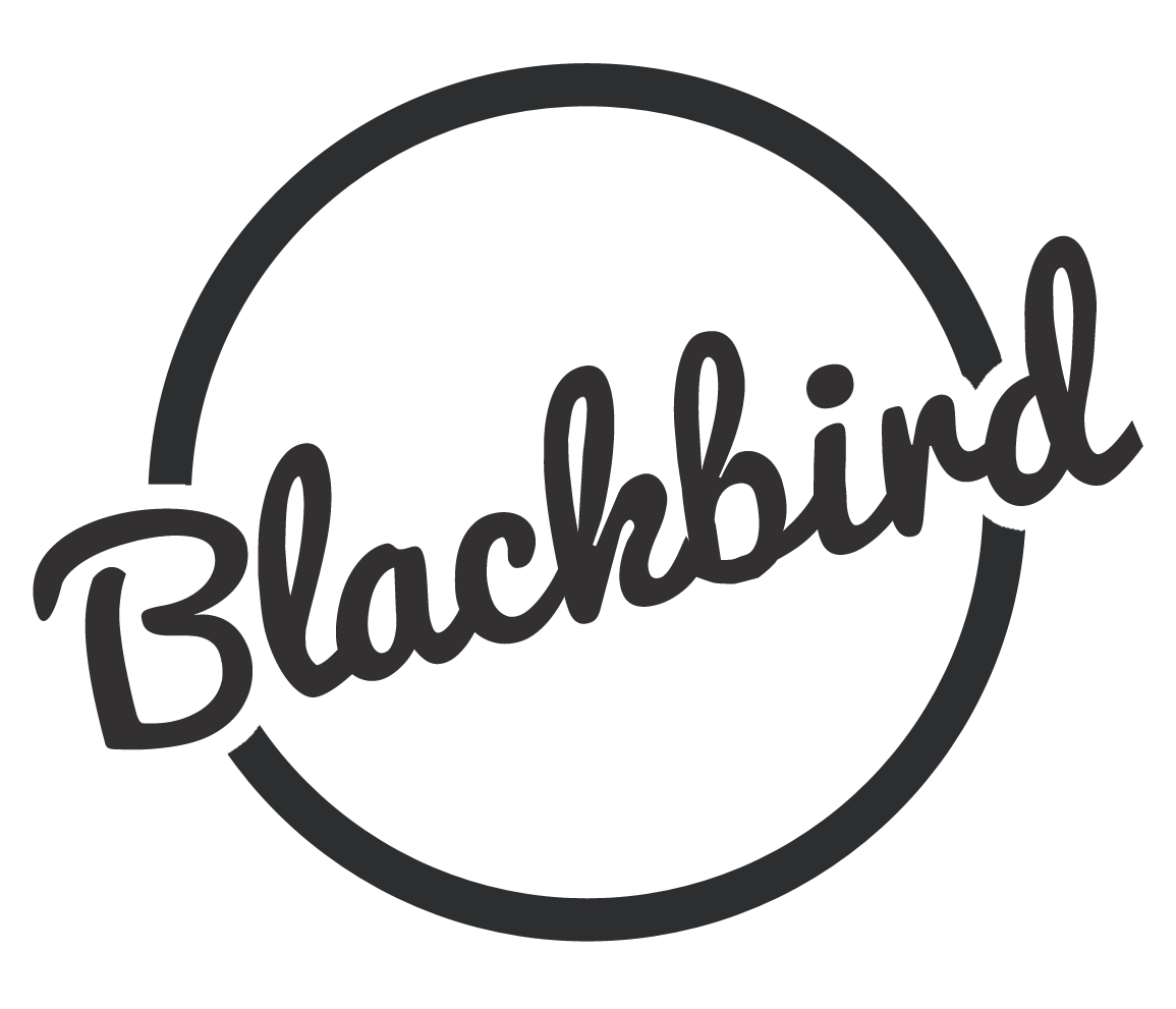 Blackbird - Surrey Function Band, Live Music for Weddings & Parties