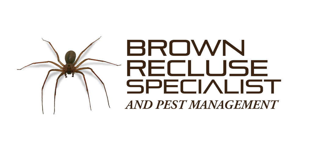 Brown Recluse Specialist