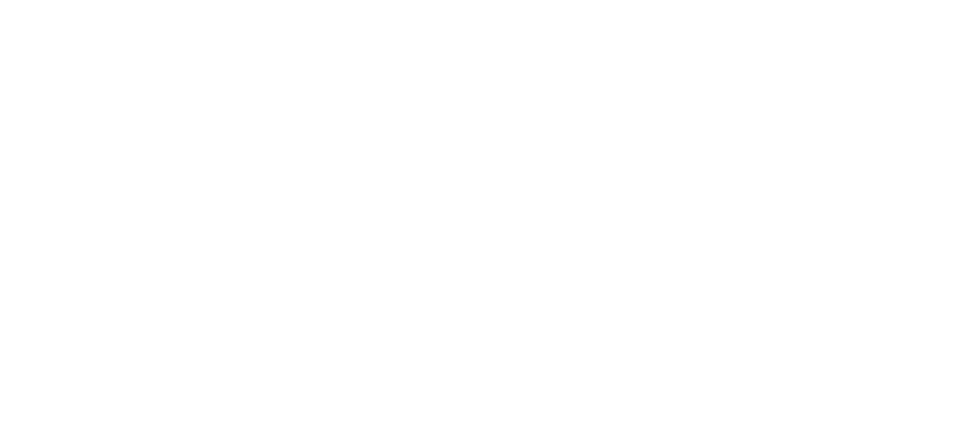 100 Percent Human