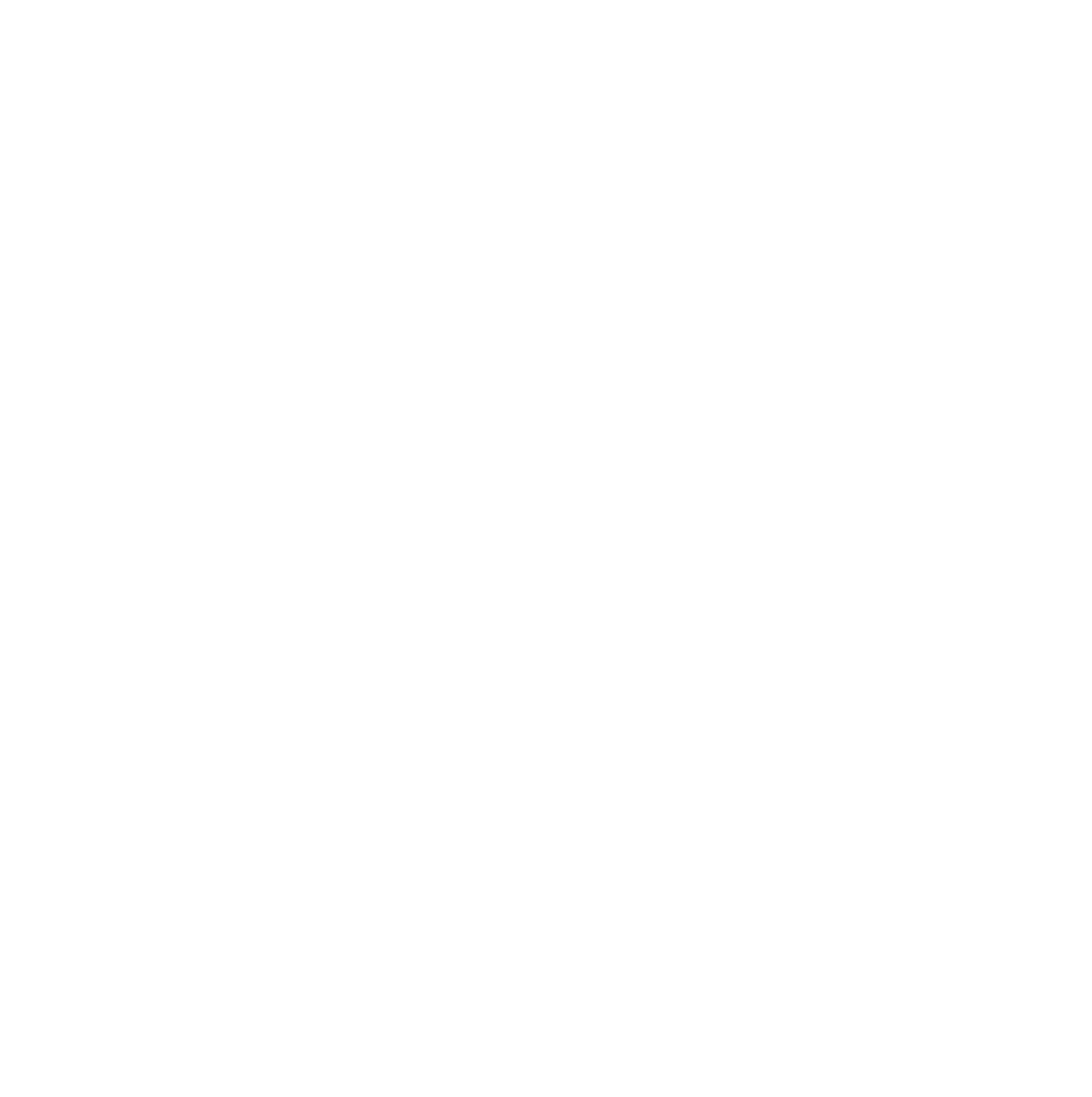 Camp Living Stones