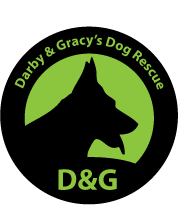 Darby and Gracy's Dog Rescue