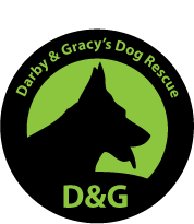 Darby and Gracy's Dog Rescue