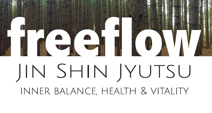 Freeflow Jin Shin Jyustu - Paul Bergstrom