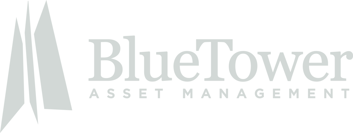 Blue Tower Asset Management | Concentrated value investing