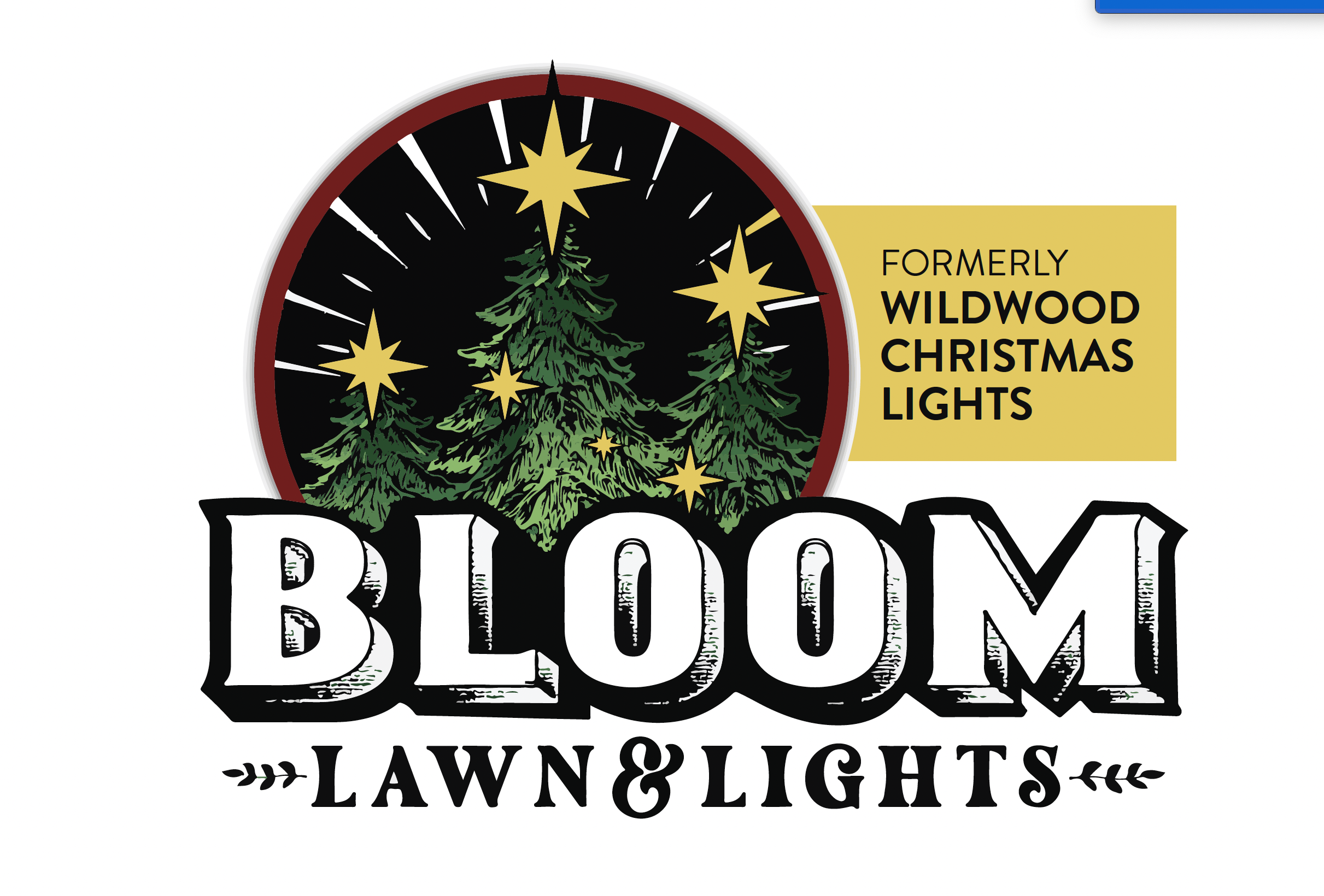 Bloom Lights