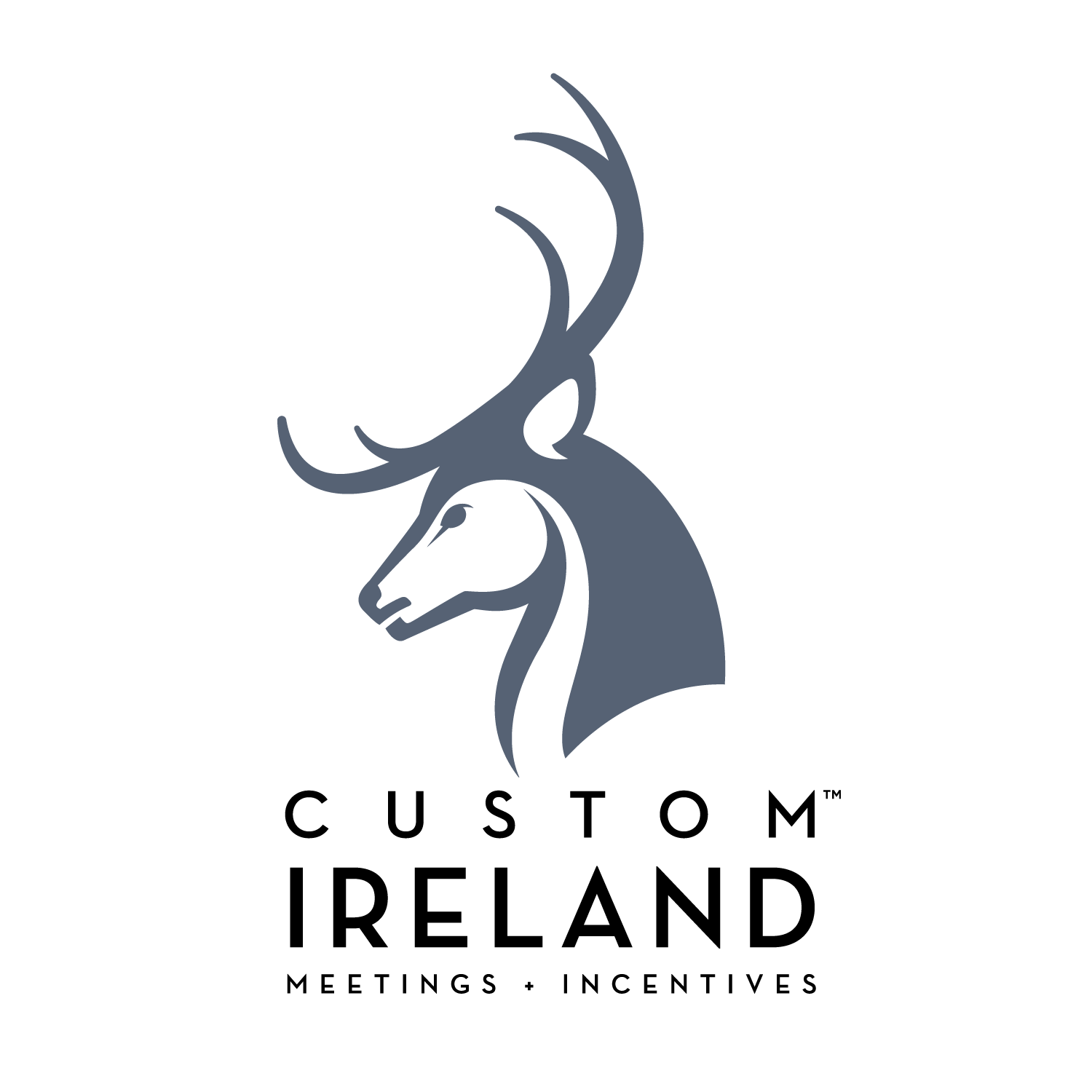 Ireland Boutique DMC | Luxury Incentives, Meetings, Travel Events & Conference Organizer | Custom Ireland 