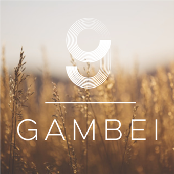 GAMBEI WELLNESS AND LONGEVITY