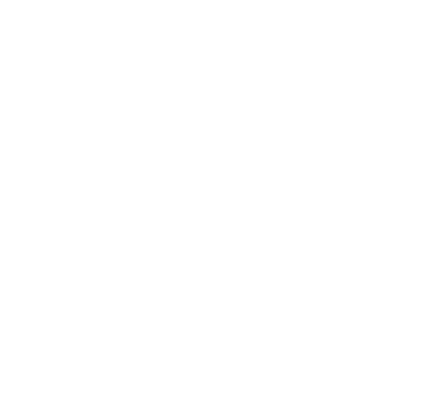 Dr. Harry Jol