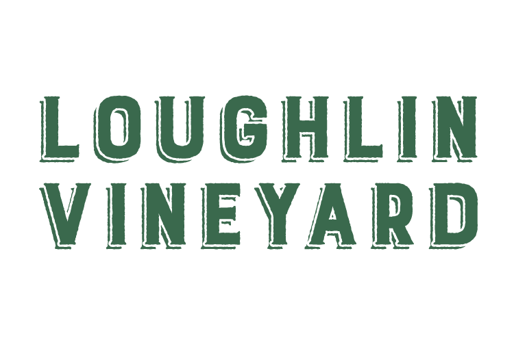 Loughlin Vineyard