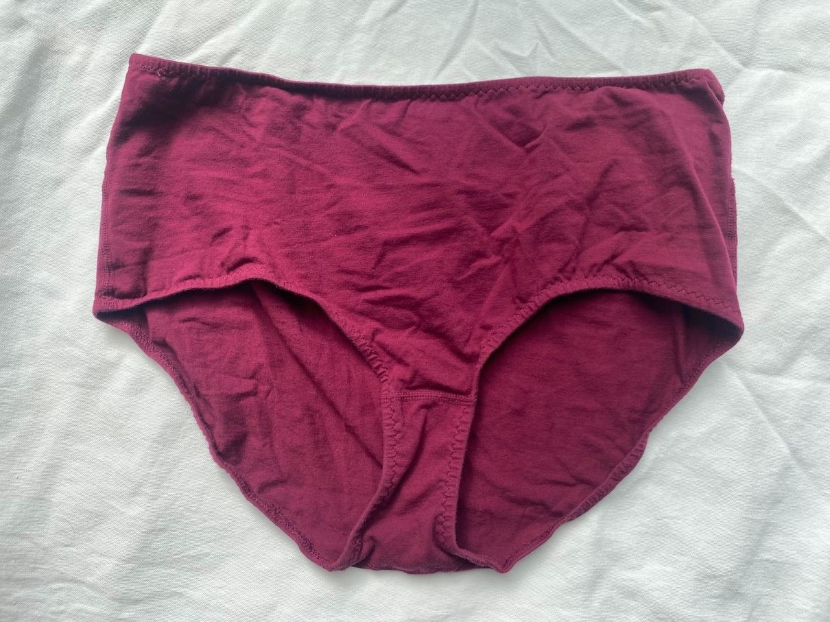 NWT JENNI COTTON SPANDEX HIPSTER PANTIES LACE WAISTBAND rose bloom
