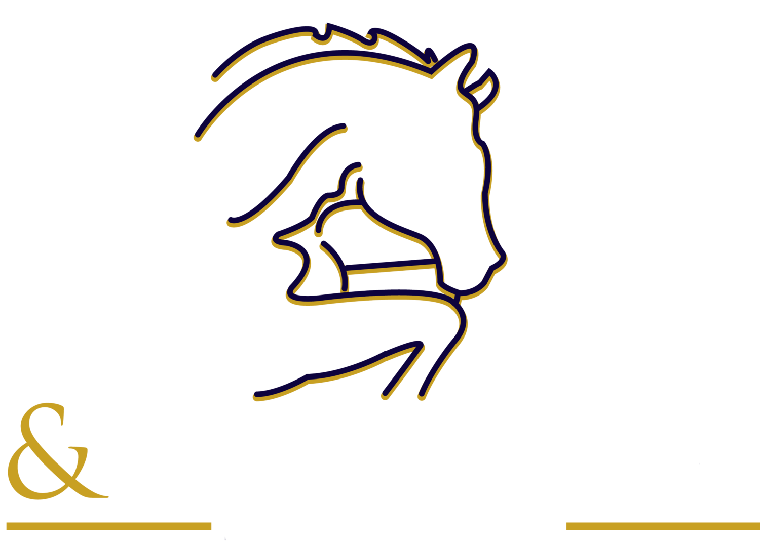 Rey&Associates Sports Medicine