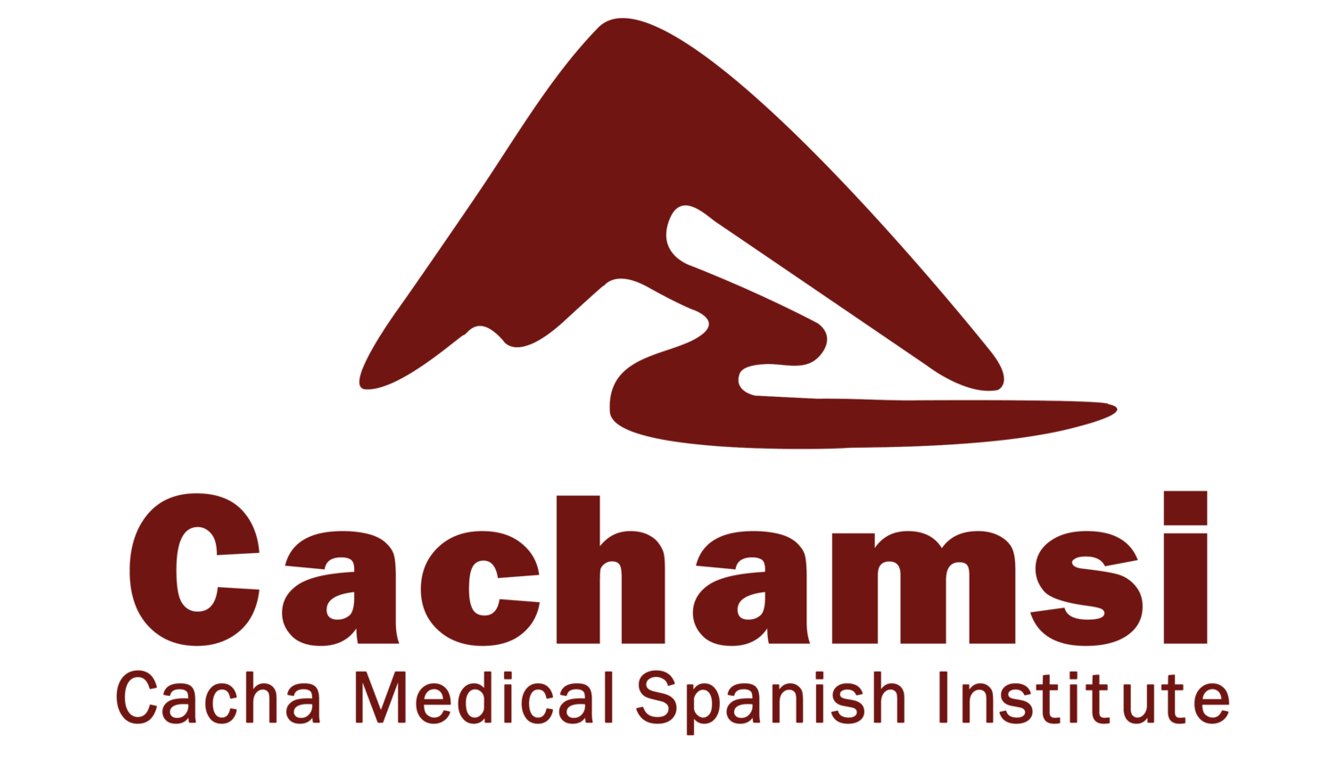 Medical Spanish Institute
