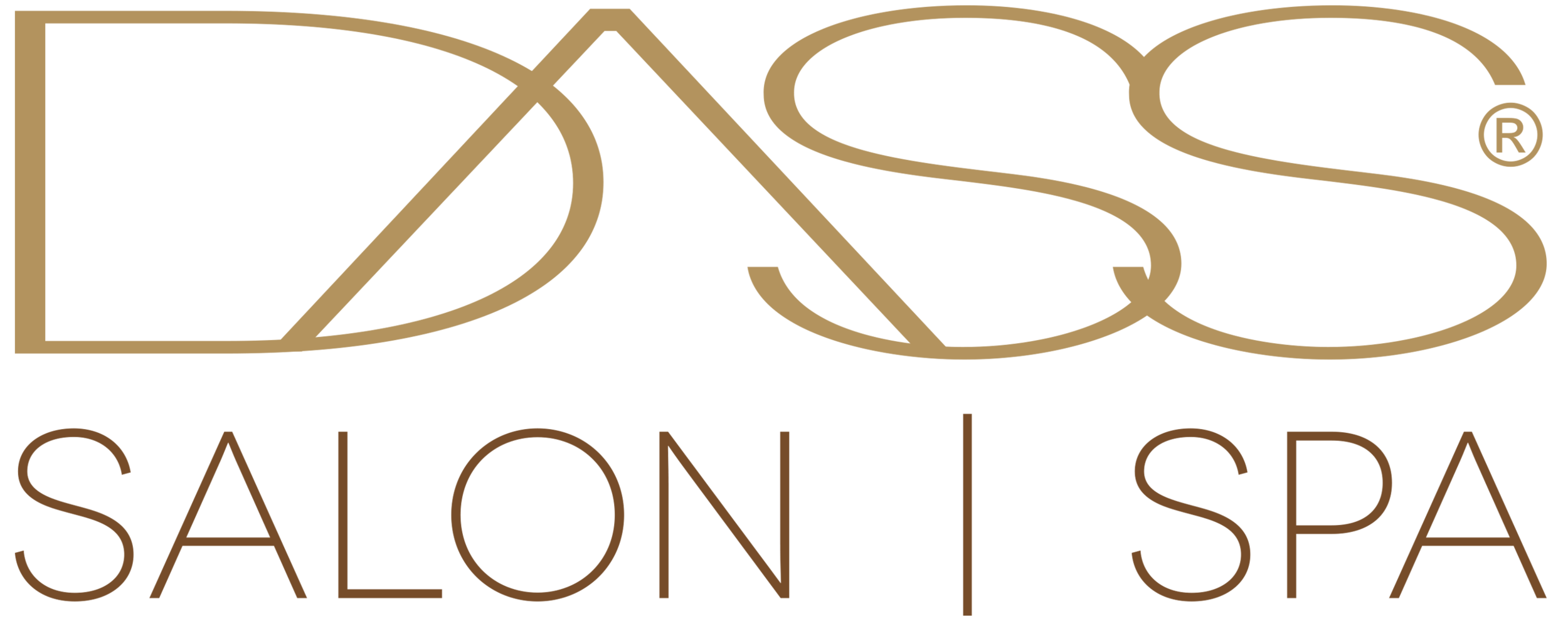 DASS    Salon | Spa