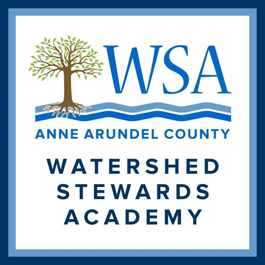 Anne Arundel County Watershed Stewards Academy | Restoring Local Waterways 