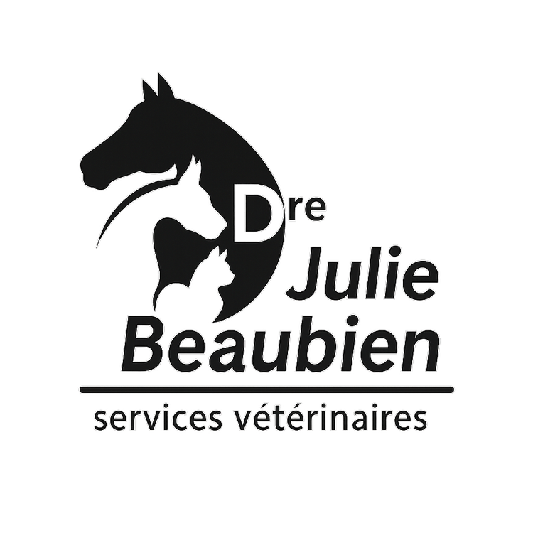 Dre Julie Beaubien