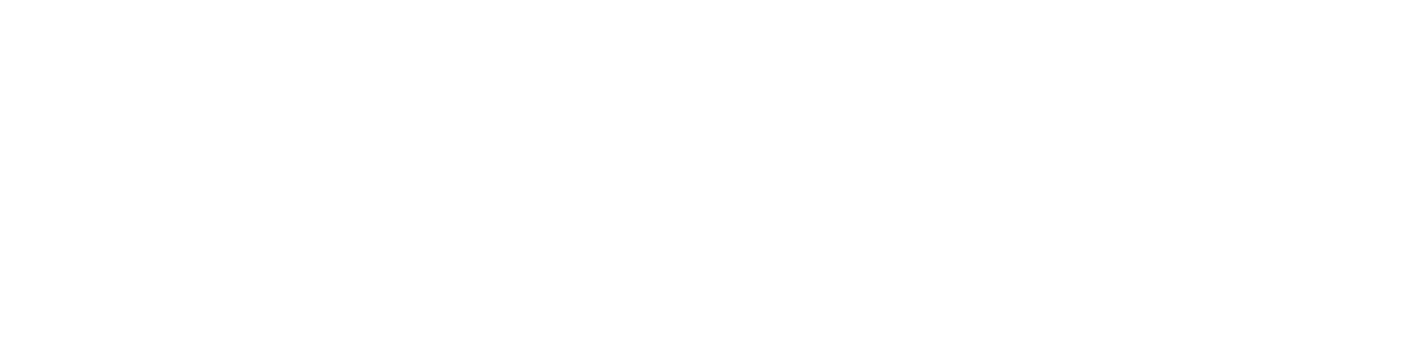 SOCIAL ACTION MEDIA