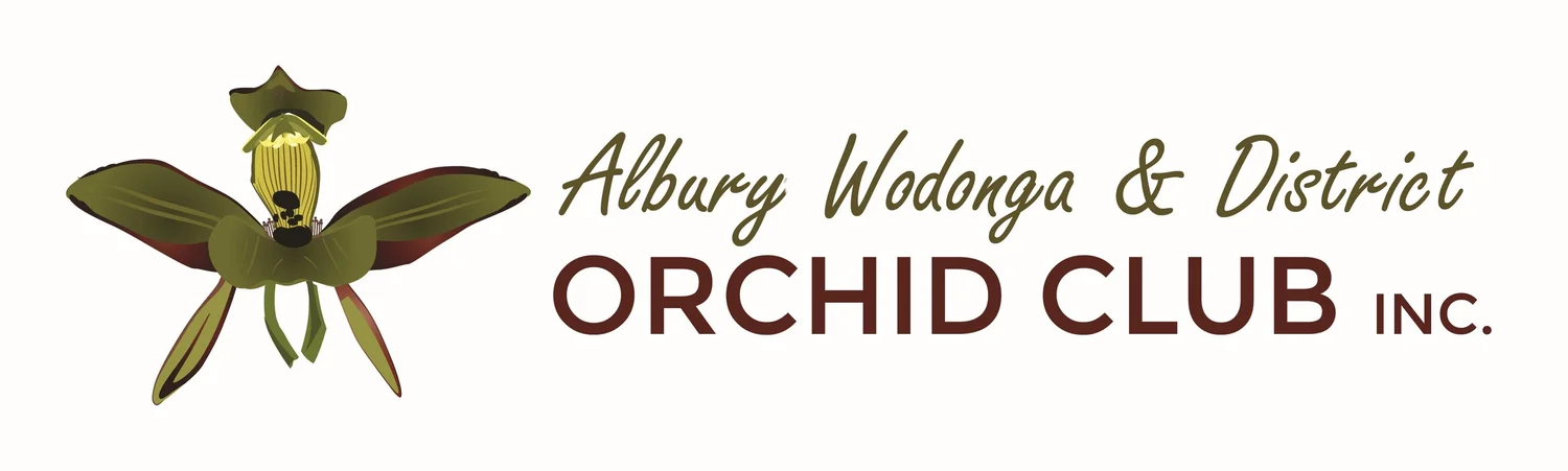 Albury Wodonga & District Orchid Club Inc.