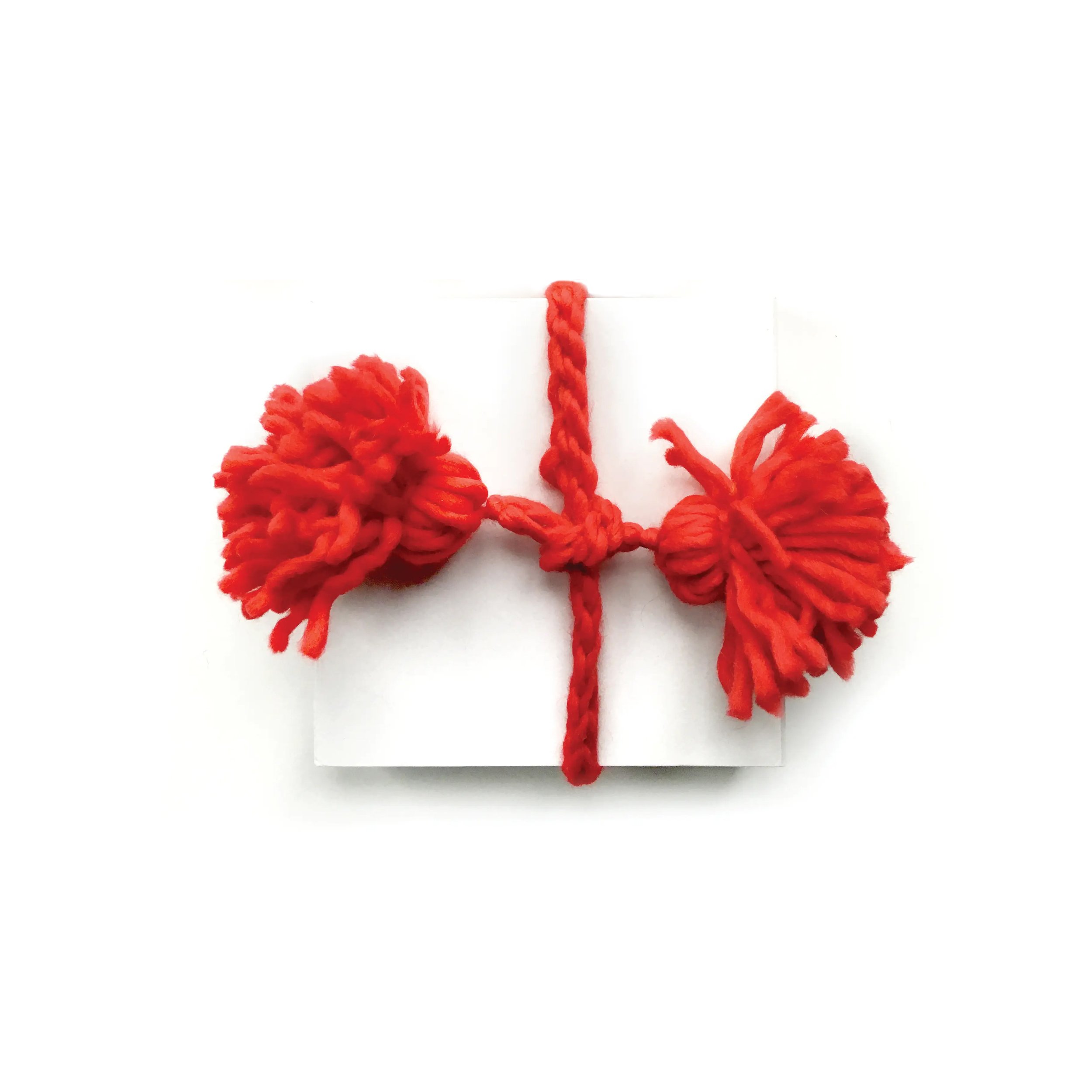 Red Gift Ribbon — The Paper Curator